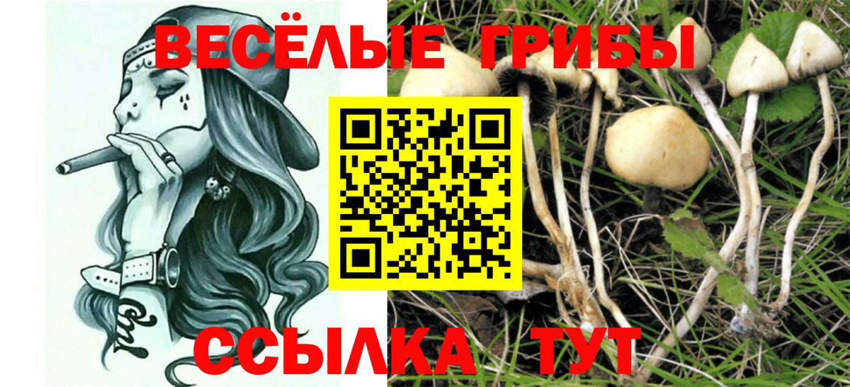 Псилоцибиновые грибы Magic Shrooms  Вход с VPN  Орехово-Зуево 
