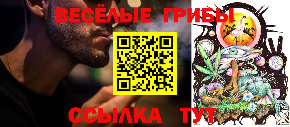 Псилоцибиновые грибы Psilocybine cubensis Орехово-Зуево